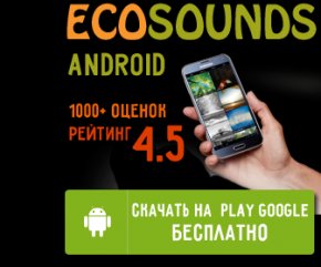 ecosounds_app
